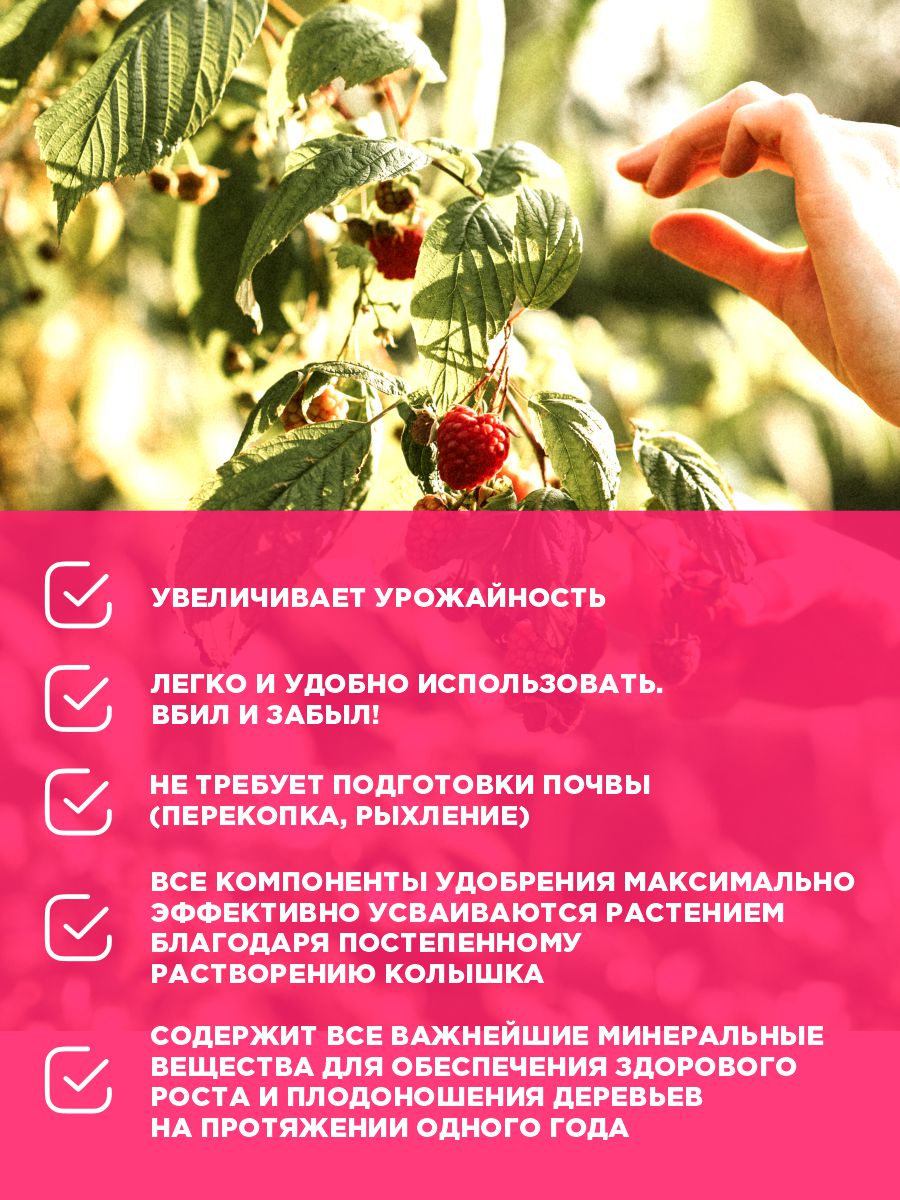 Удобрение Ракета для плодовых деревьев (колышки) 600г от Био-комплекс + 6