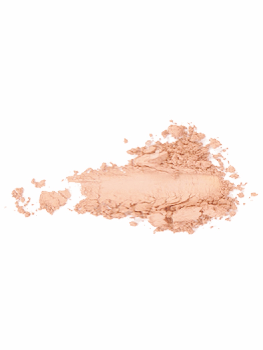 Пудра компактная Instyle Wet & Dry Powder, тон 006 Light Tan от TopFace + 2