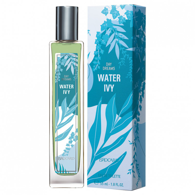 Day Dreams Туалетная вода женская Water Ivy 55мл от Brocard + 1