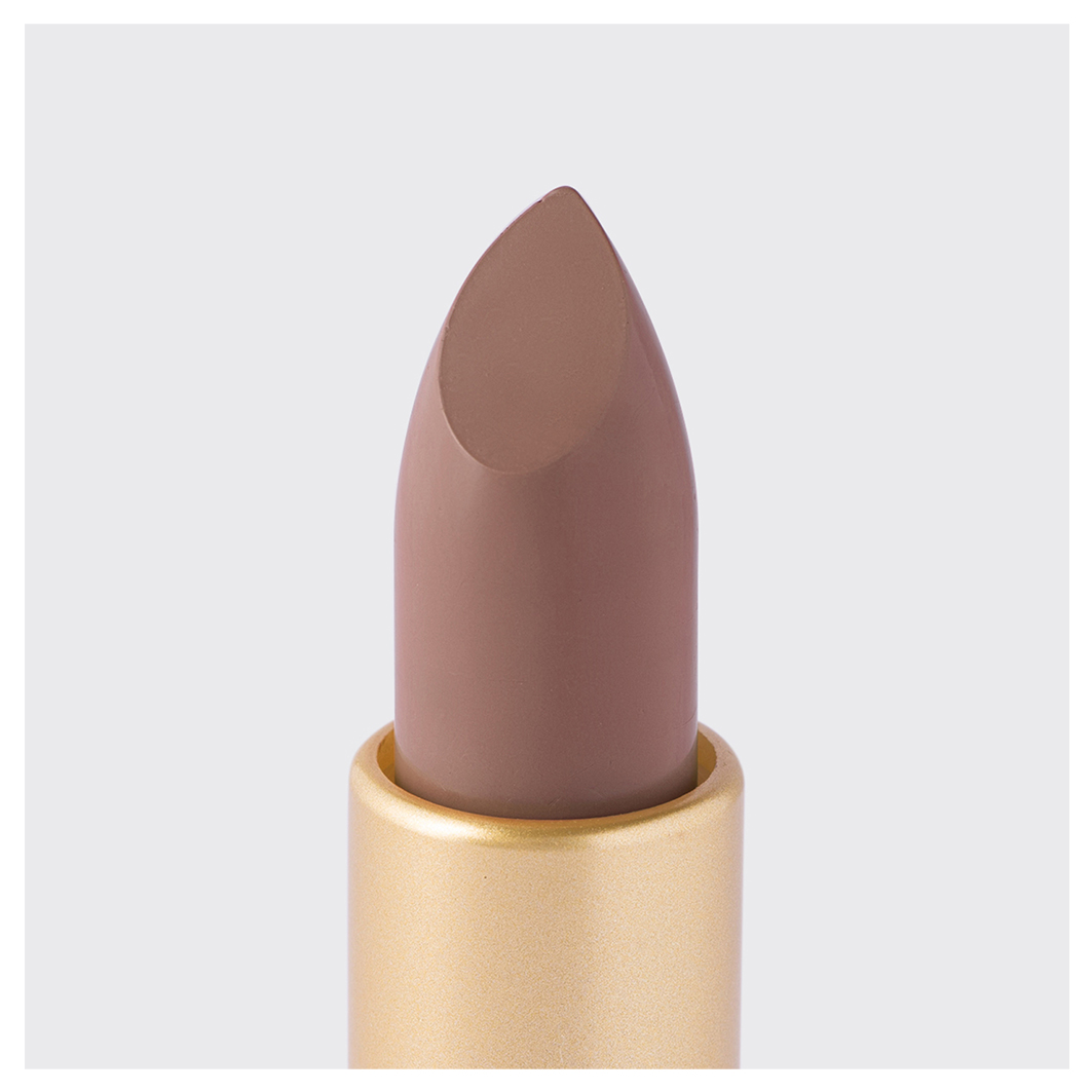Помада для губ Nude Createur, тон 17 холодный нюд от Vivienne Sabo + 3