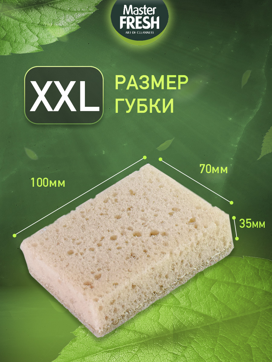 Eco Line Губки для посуды из Агавы XXL 2шт от Master Fresh + 9