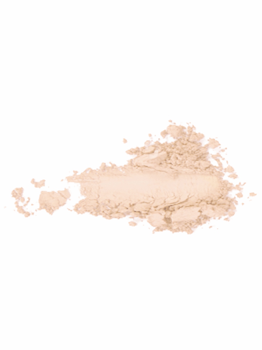Пудра компактная Instyle Wet & Dry Powder, тон 002 Natural от TopFace + 2