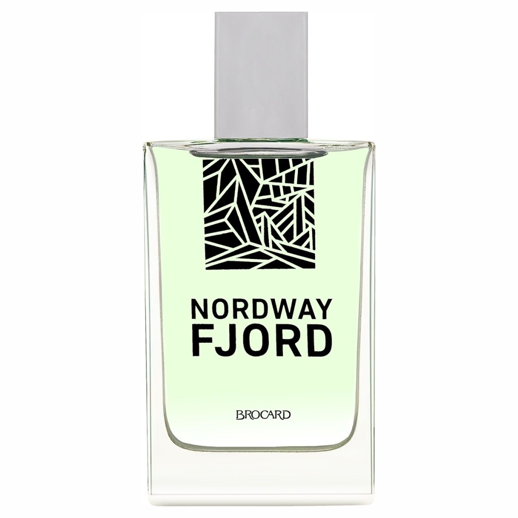 Туалетная вода мужская Nord Way Fjord 100мл  от Brocard + 2