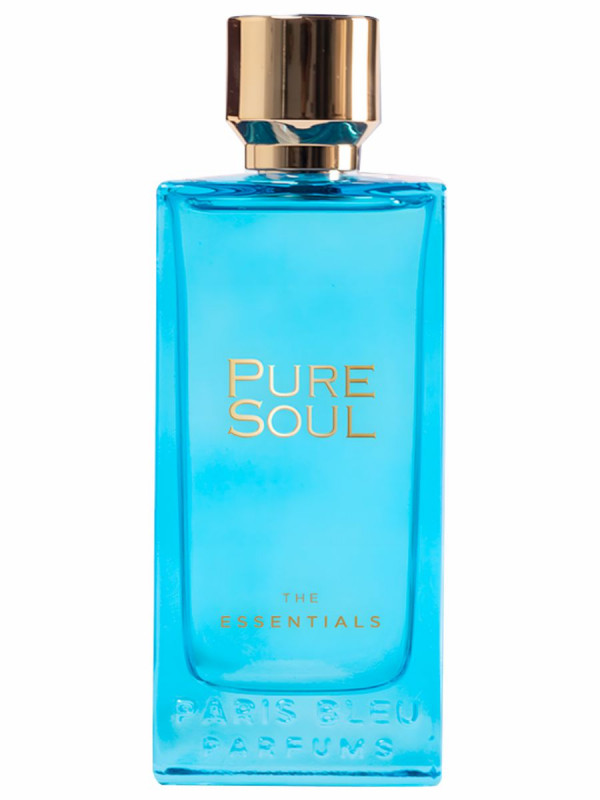 Парфюмерная вода мужская The Essentials Pure Soul 100мл от Paris Blue + 1