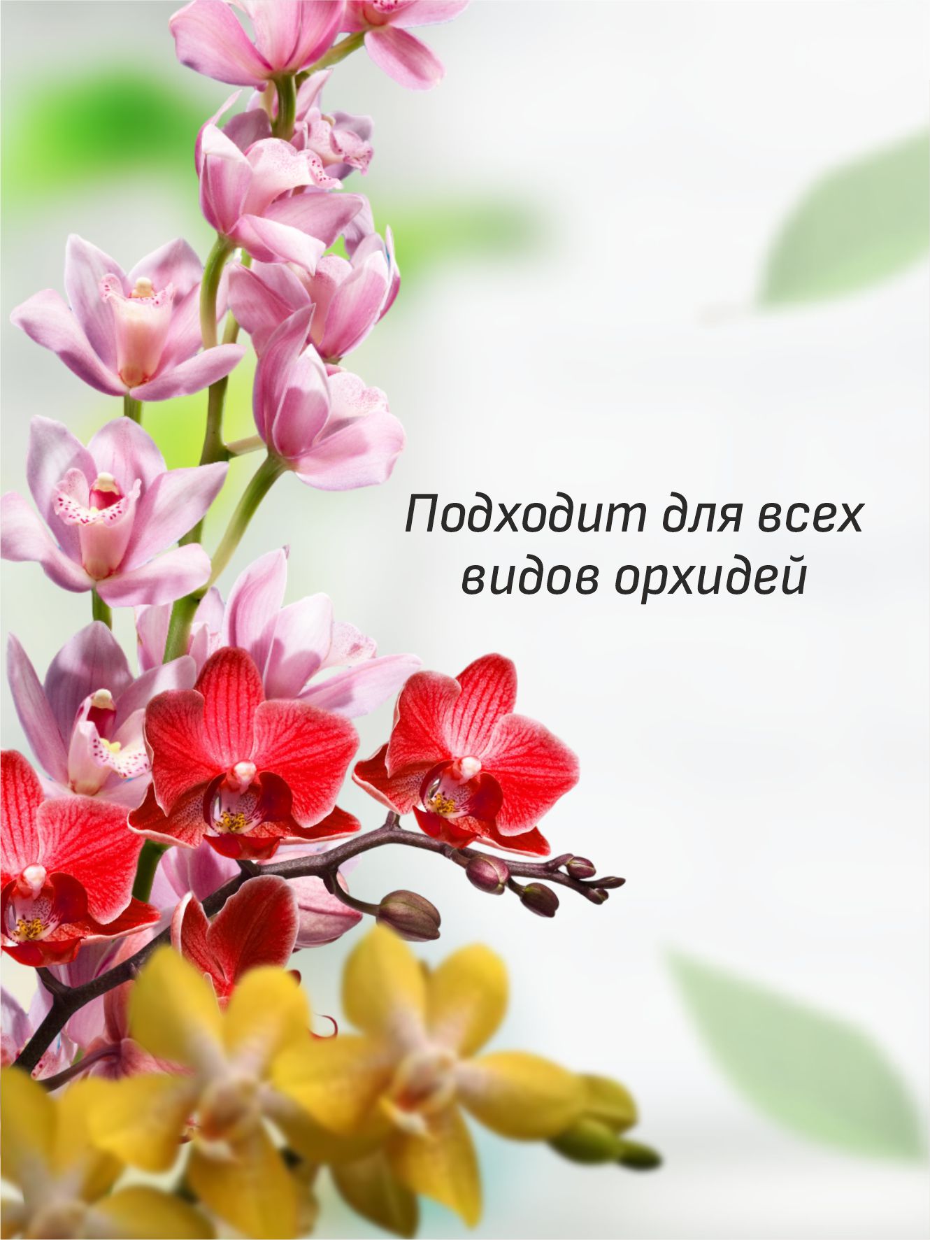Активатор роста и цветения Для орхидей 2 таблетки от Joy + 2